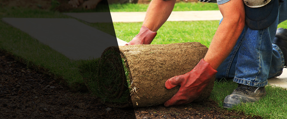 Biddeford Landscapers